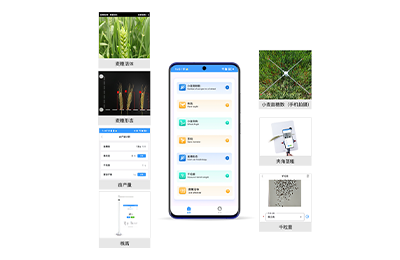 绥化市小麦表型检测仪IN-XM04